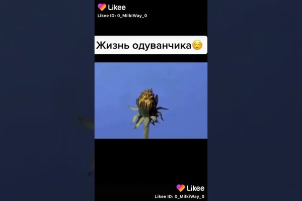 Kraken дарк магазин